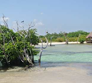 Traumhafter Strand 5 Minuten vom Hotel entfernt