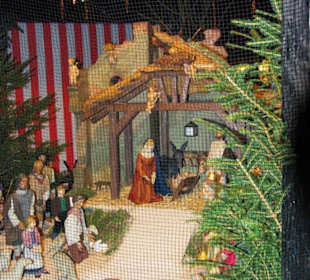 Unsere Nürnberger Grippe