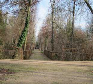 Schlosspark Schwetzingen im Winter