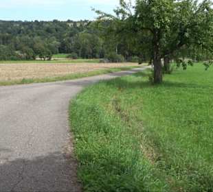 Sonnenaufgangs-Rundwanderung Rübgarten