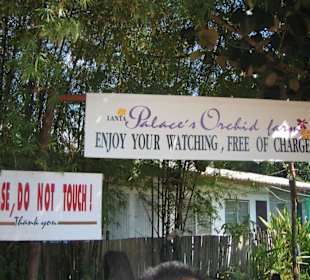 Orchideenfarm auf Koh Lanta