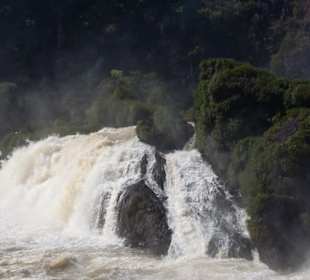 Iguassus kleine Schwester
