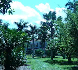 Gartenanlage mit Blick auf das Haus