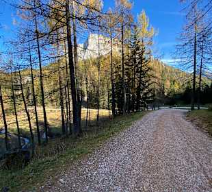Wurzeralm Wanderweg