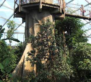 Godwanaland im Zoo Leipzig