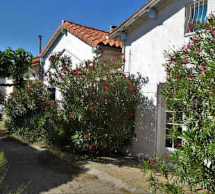 Der Charme der Strandhäuser von Le Racou