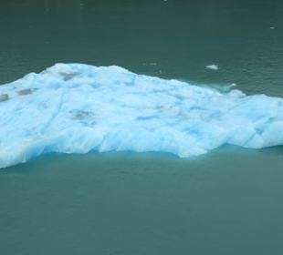 MS Zaandam befährt den Tracy Arm Fjord