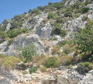 Kekova - die versunkene Stadt