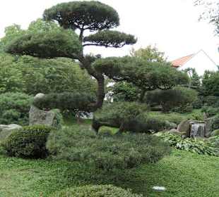 Japanischer Garten