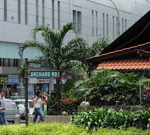 Orchard Road