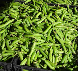 Rundgang über den Wochenmarkt Nuoro