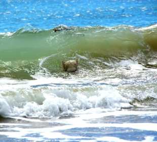 Ende September 2010 Inspirationen