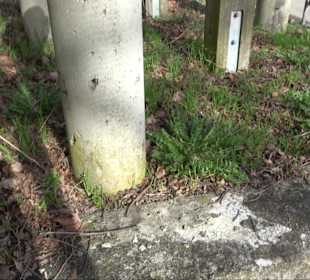Römisches Pfeilergrab Kirchentellinsfurt