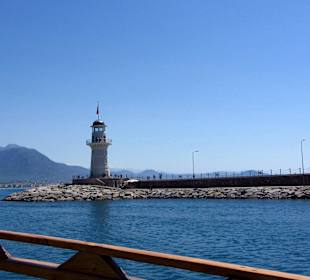 Jetzt wird es wellig 