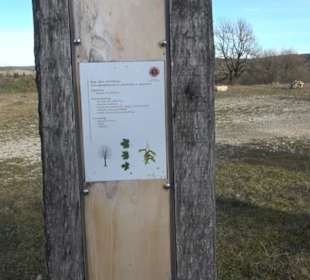 Ort der Stille Böttingen