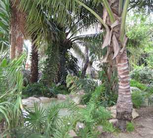 Botanischer Garten