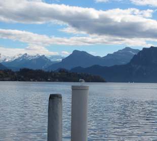 Aussicht auf den Vierwaldstätter See