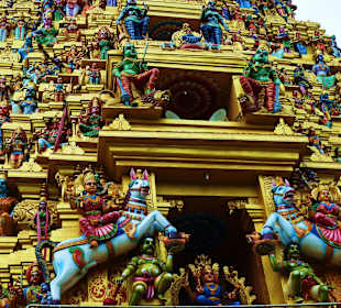 Hindutempel/Matale
