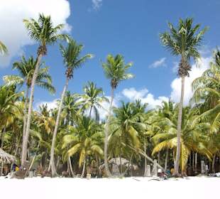 Auf dem Ausflug nach Saona - Palmiya Beach