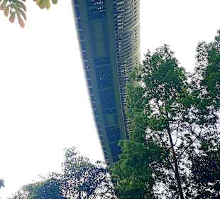 Henderson Waves Bridge 