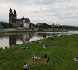 Wandern Elbe-Parey