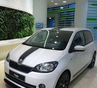 Павильон Skoda в Автогороде