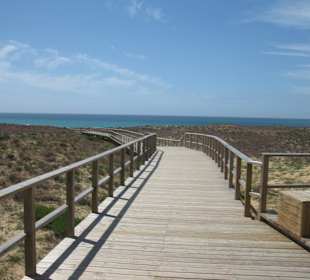 Weg zum Praia Grande