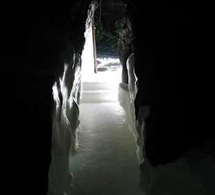 Fundation Cesar Manrique