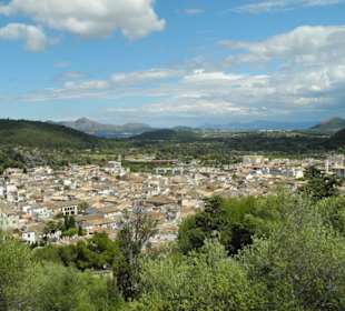 Pollenca