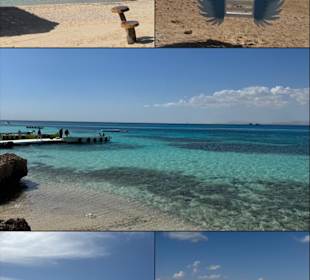 Wunderschönes Hula Hula 