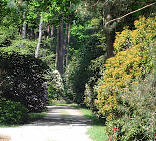 Impressionen vom Rundweg durch den Park
