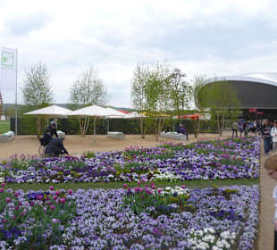 Festungspark Ehrenbreitstein