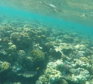 Schnorcheln Sahl Hasheesh