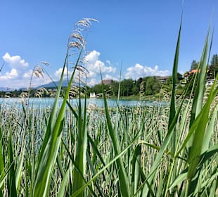 Faaker See
