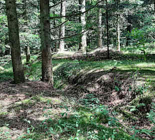Wandern Leck (Nordfriesland)