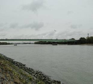 Der Rhein 