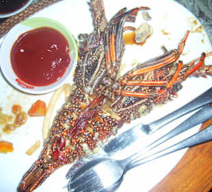Essen bei Otto - Restaurant "Cockatoo"