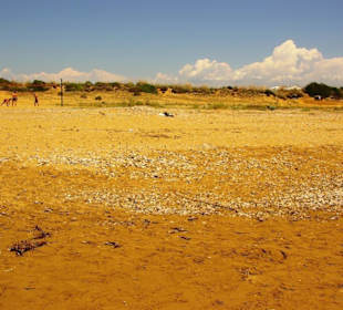 Gündogdu leichter Kies/Muschelbereiche