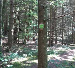 Premiumwanderweg Hochgehschätzt