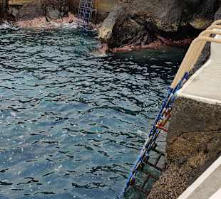 Tauchbasis Manta Diving