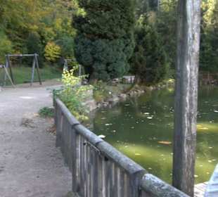 Bergsee Triberg