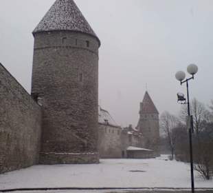 Stadtmauer mit Turm
