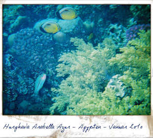 Ich beim Schnorcheln