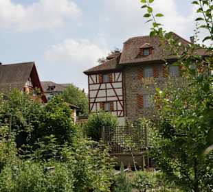 Sempach-Dorf
