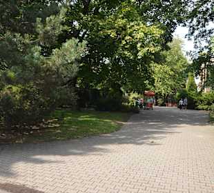 Zoo