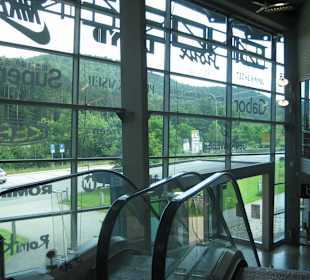 Blick nach draußen in den Pfälzer Wald