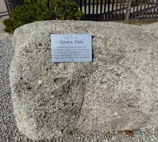 Alpenwildpark Pfänder - Gneis Felsen