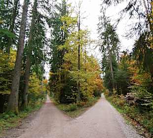 Wandern Freudenstadt