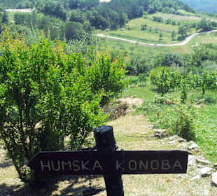 Der Wegweiser am Stadttor