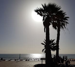 Strand Playa del Ingles